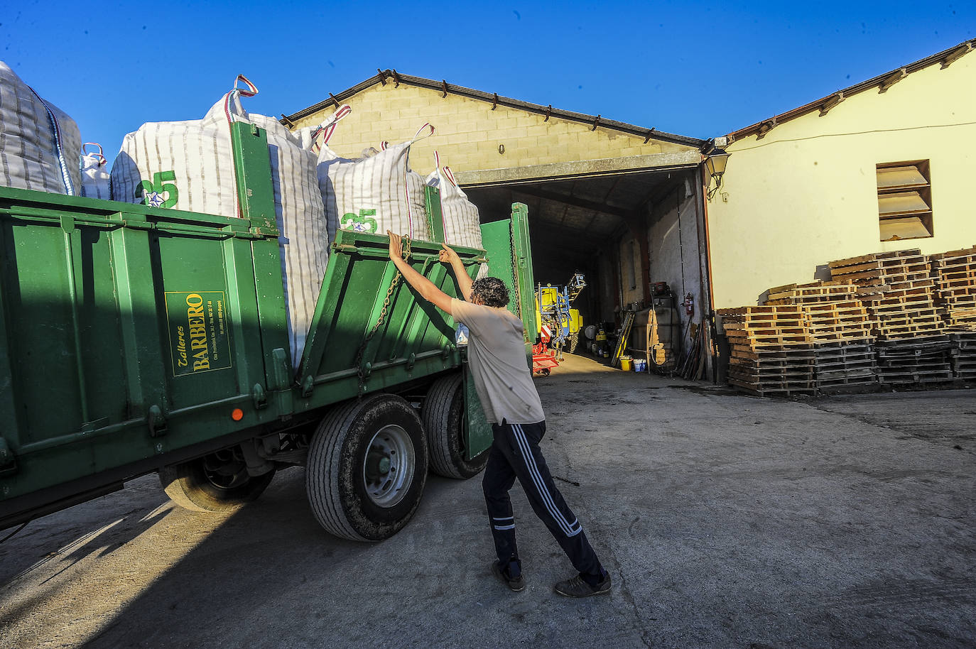 Fotos: Nacerán y se llamarán Monalisa y Lucinda