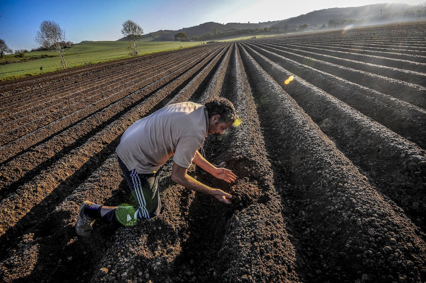 Fotos: Nacerán y se llamarán Monalisa y Lucinda