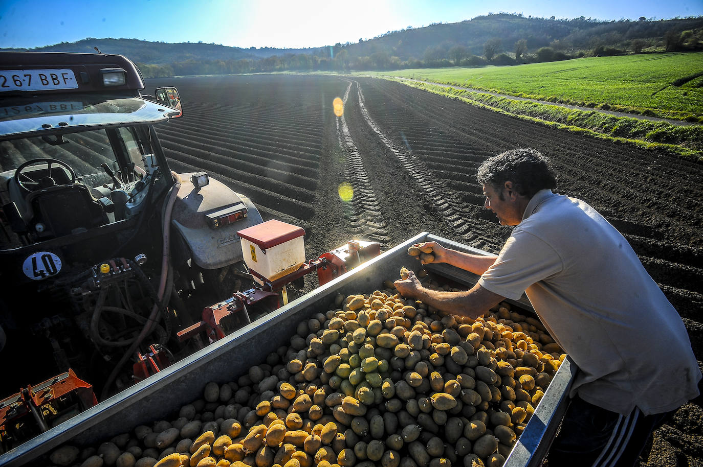 Fotos: Nacerán y se llamarán Monalisa y Lucinda