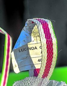 Imagen secundaria 2 - Arriba, vista de la finca, con los caballones. Debajo, Edurne, la mujer del agricultor, ayuda a cargar las sacas de siembra. 