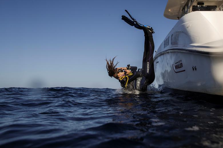 La investigadora Michelle Havlik de Australia se sumerge en el agua durante un viaje de investigación en el Mar Rojo.