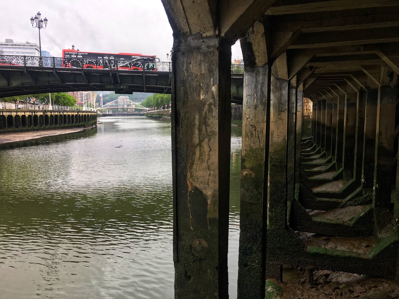 Fotos: Las mejores imágenes de la bajamar en la ría