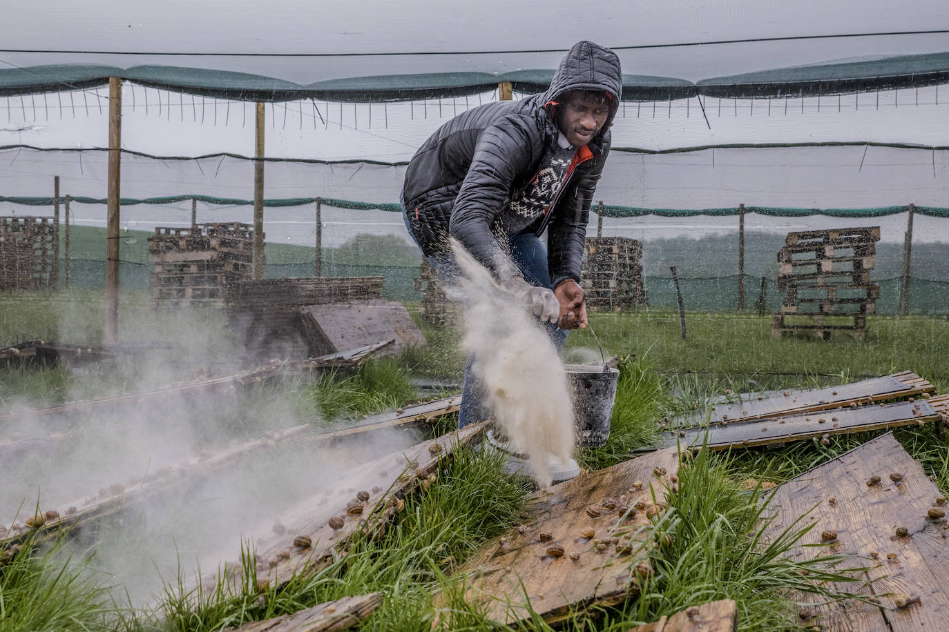 Fotos: El rebaño más dócil