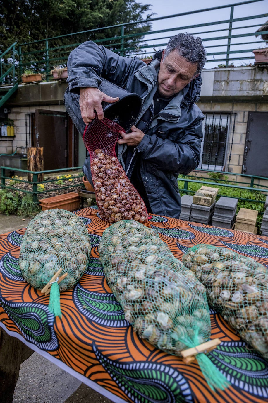 Fotos: El rebaño más dócil