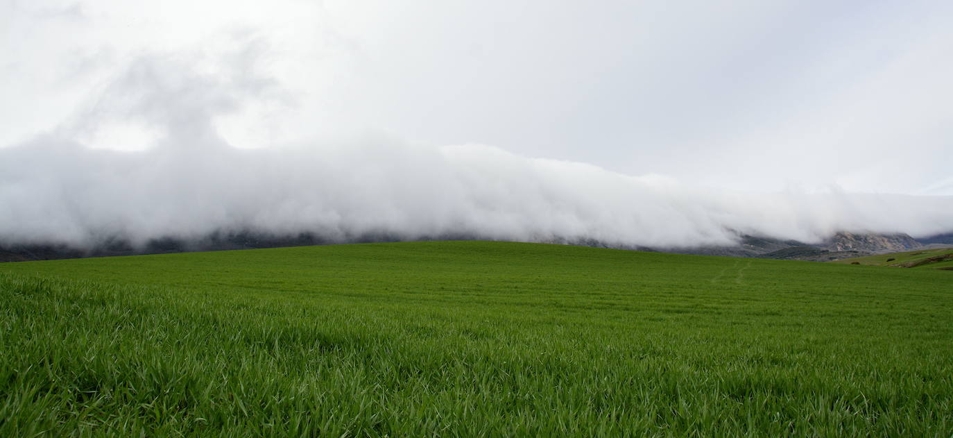 Fotos: La &#039;avalancha&#039; de nubes, un espectáculo visual en Rioja Alavesa