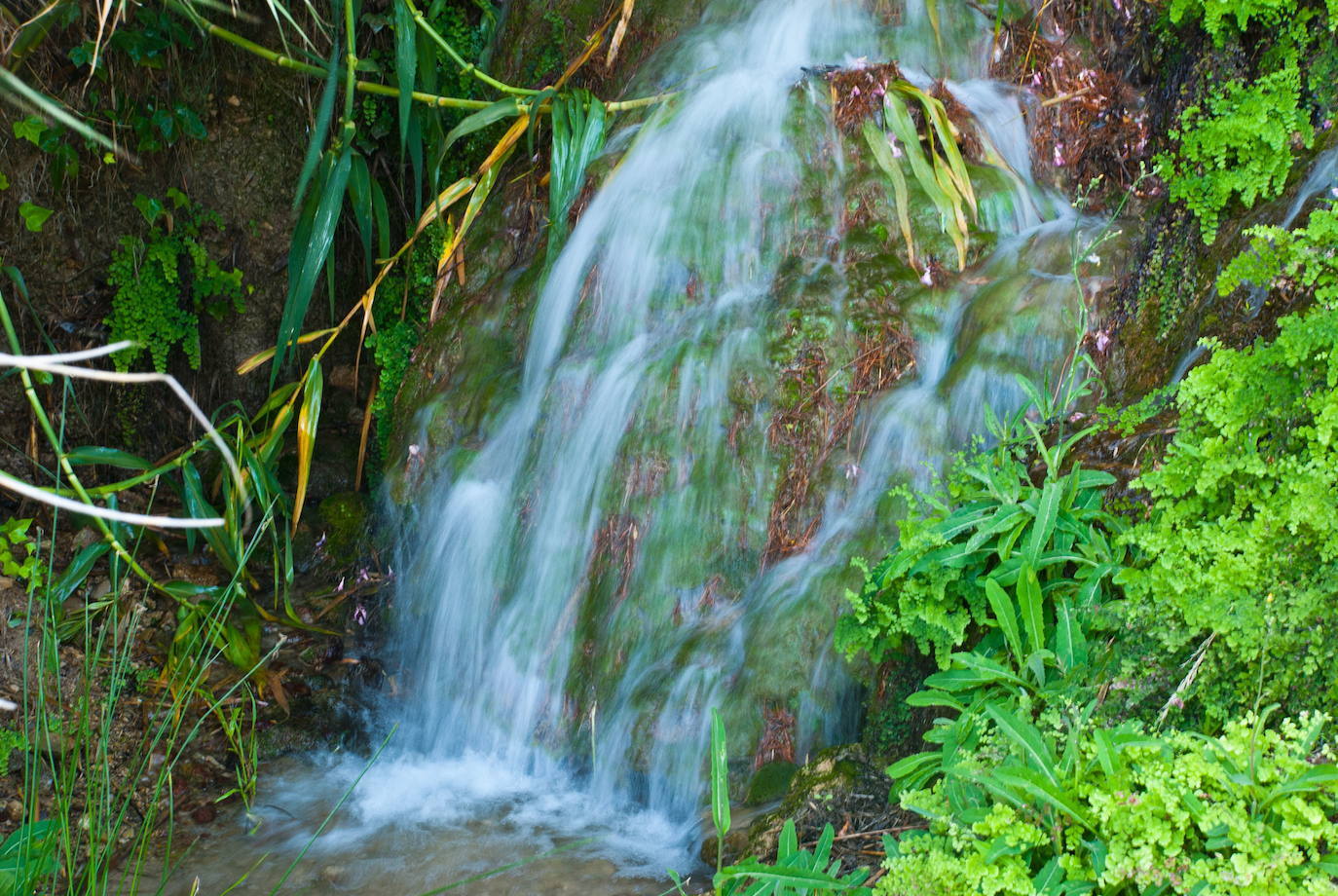 Les Fonts d'Algar (Callosa d'en Sarrià, Alicante) 