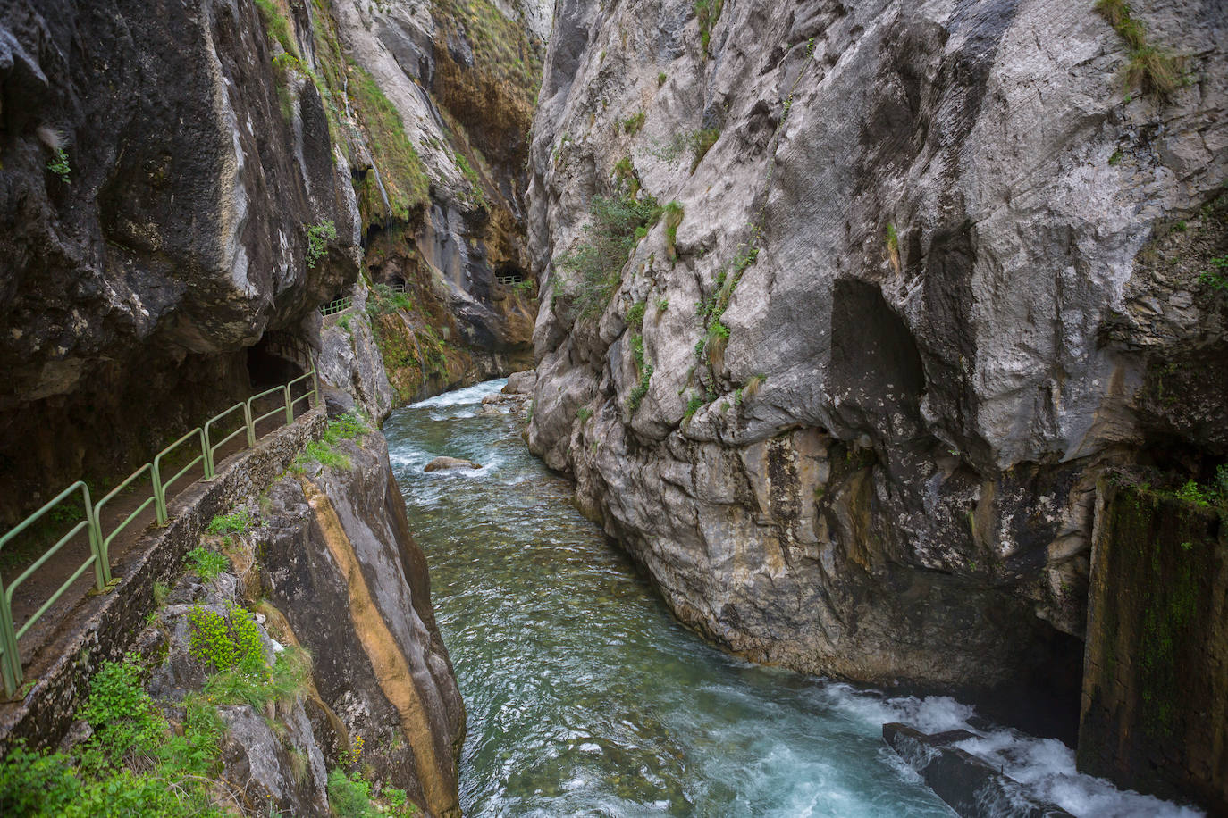 Ruta del Cares (Picos de Europa).