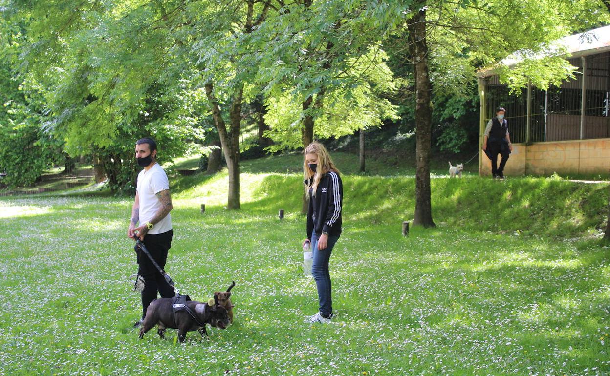 Los perros podrán estar sueltos en la zona de boleras del parque de Lamuza, donde habrá una zona de 'agility'. 