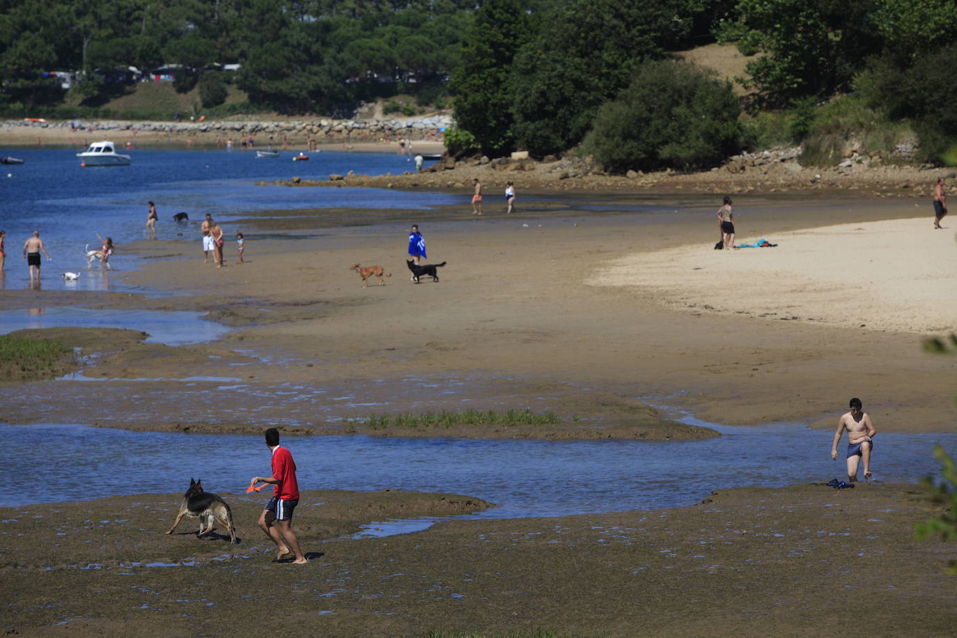 Playas para perros: Ocho playas cántabras para ir con perros