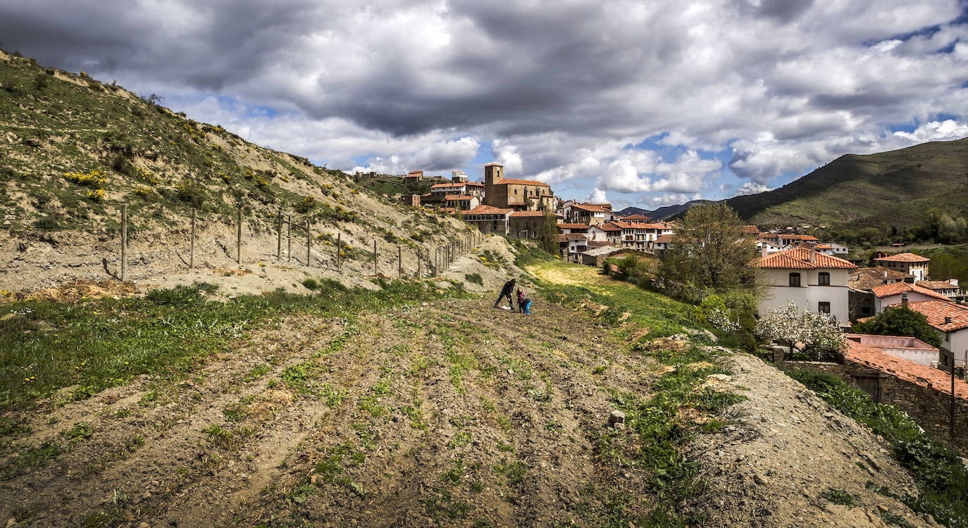 Terrazas agrarias de San Román de Cameros. 