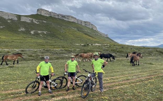 Un descanso en el camino.