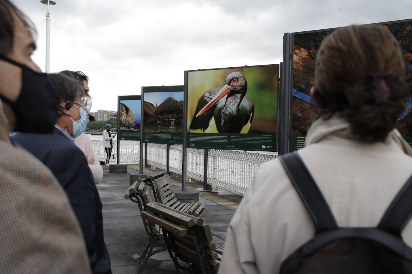 Dos viandantes observan las imágenes de la exposición.
