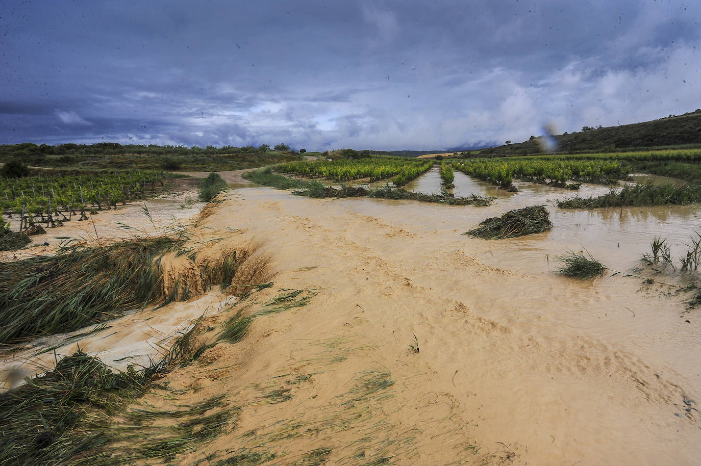 La granizada ha afectado, en mayor o menor medida, a las 1.100 hectáreas de viñedo de Lanciego. En la imagen, otra parcela anegada por el agua.