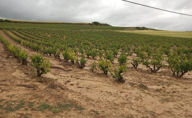 Imagen de una finca de Yécora.