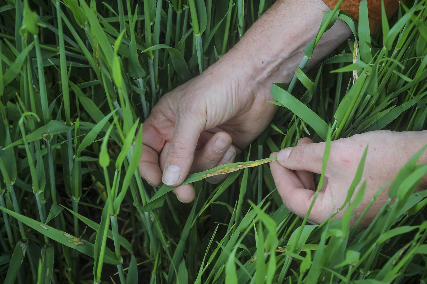 Fotos: «Los agricultores no envenenamos a la gente, la alimentamos»