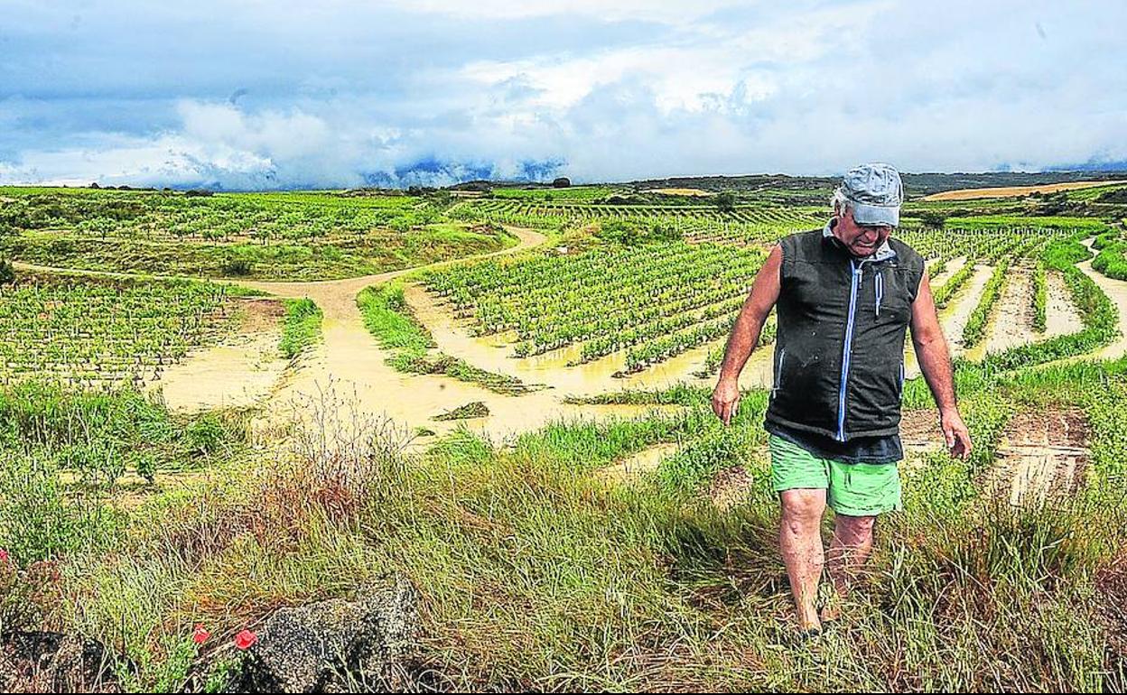 Algunos viñedos de Lanciego sufrieron severas inundaciones en la tormenta del pasado jueves. 