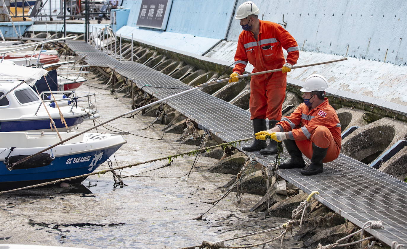 Fotos: El &#039;moco marino&#039; invade las costas de Estambul