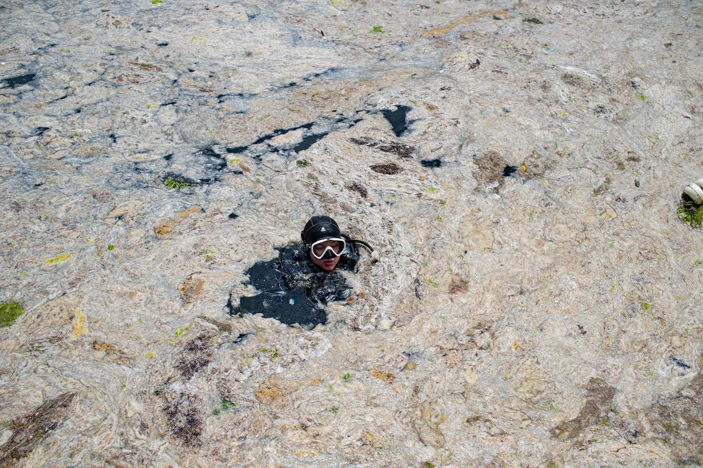Fotos: El &#039;moco marino&#039; invade las costas de Estambul