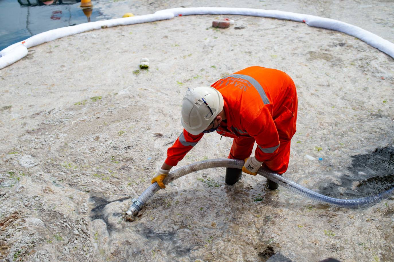 Fotos: El &#039;moco marino&#039; invade las costas de Estambul