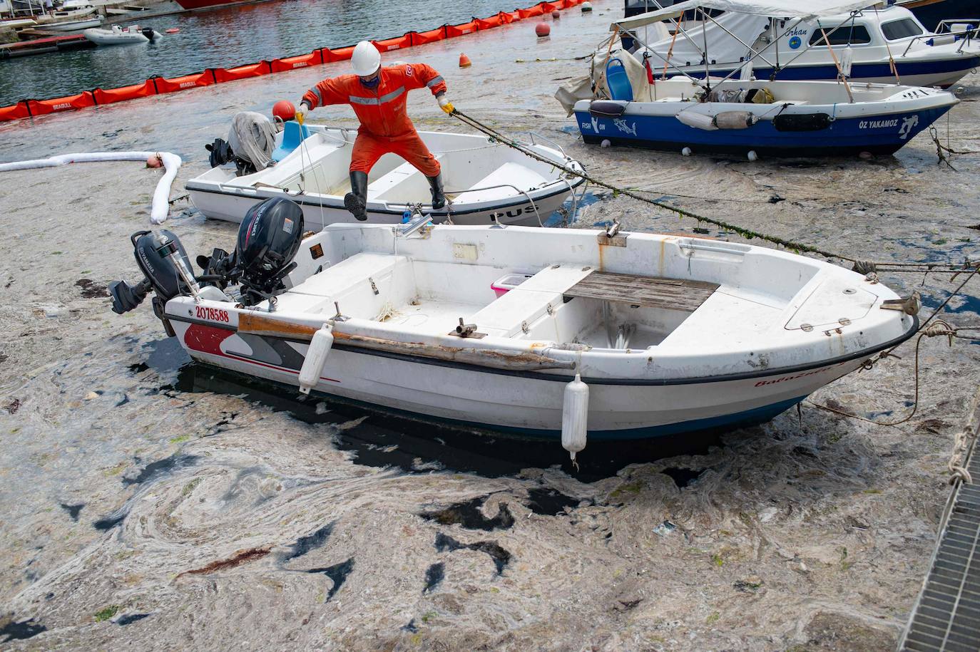 Fotos: El &#039;moco marino&#039; invade las costas de Estambul