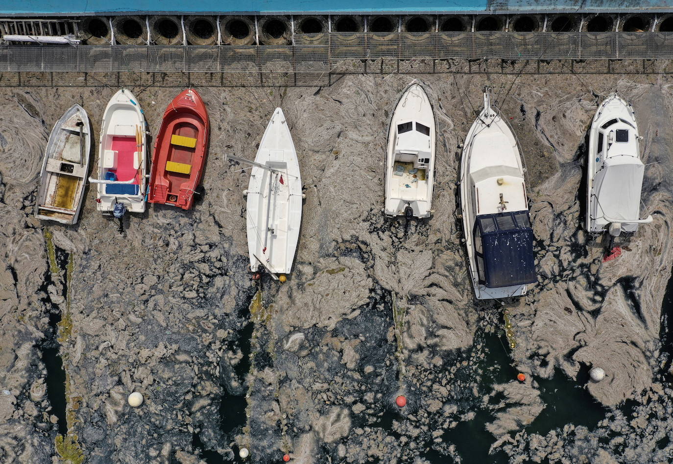 Fotos: El &#039;moco marino&#039; invade las costas de Estambul