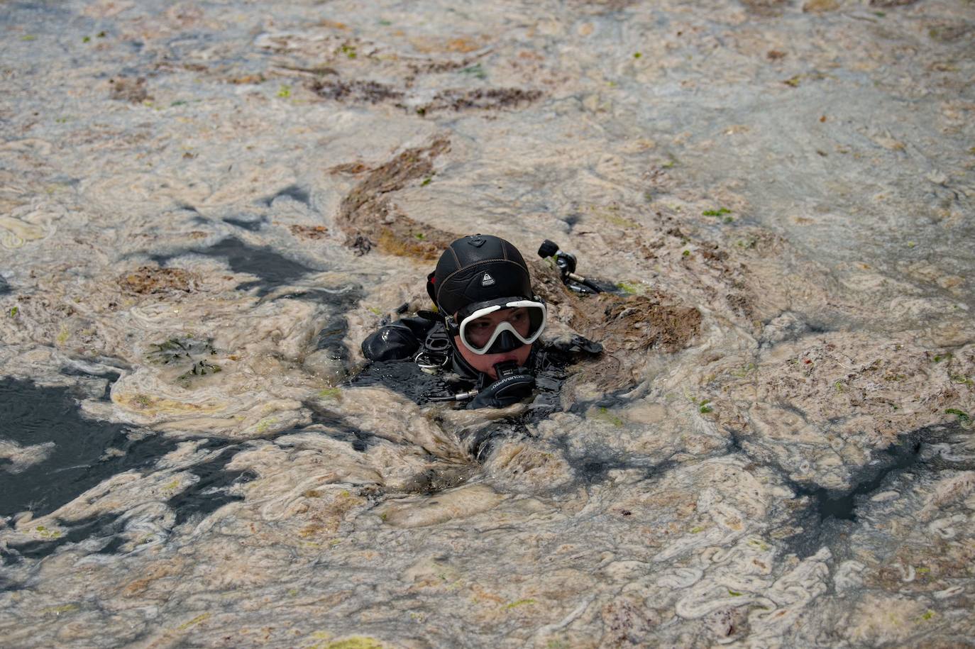 Fotos: El &#039;moco marino&#039; invade las costas de Estambul