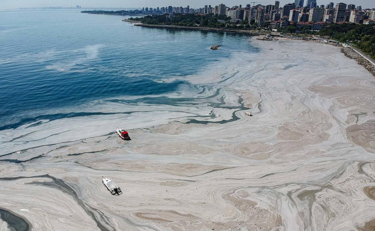 Imagen del 'moco marino' en la costa. 