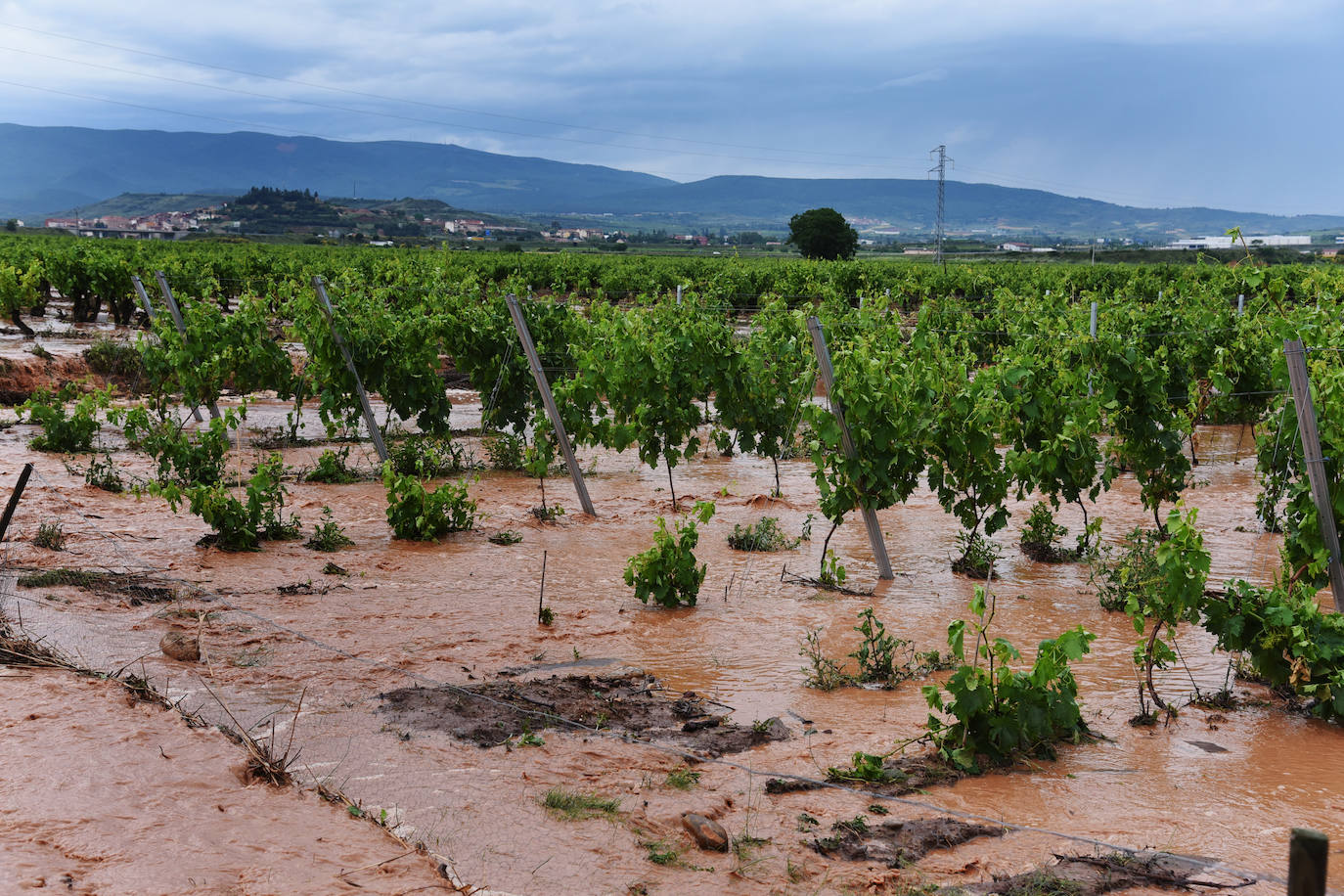 Fotos: Espectacular tormenta en La Rioja