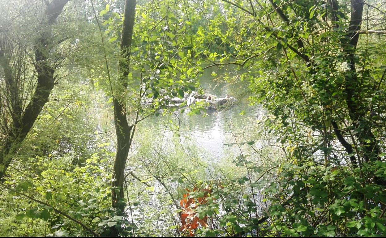 Plaiaundiko natura-parkearen txoko bat