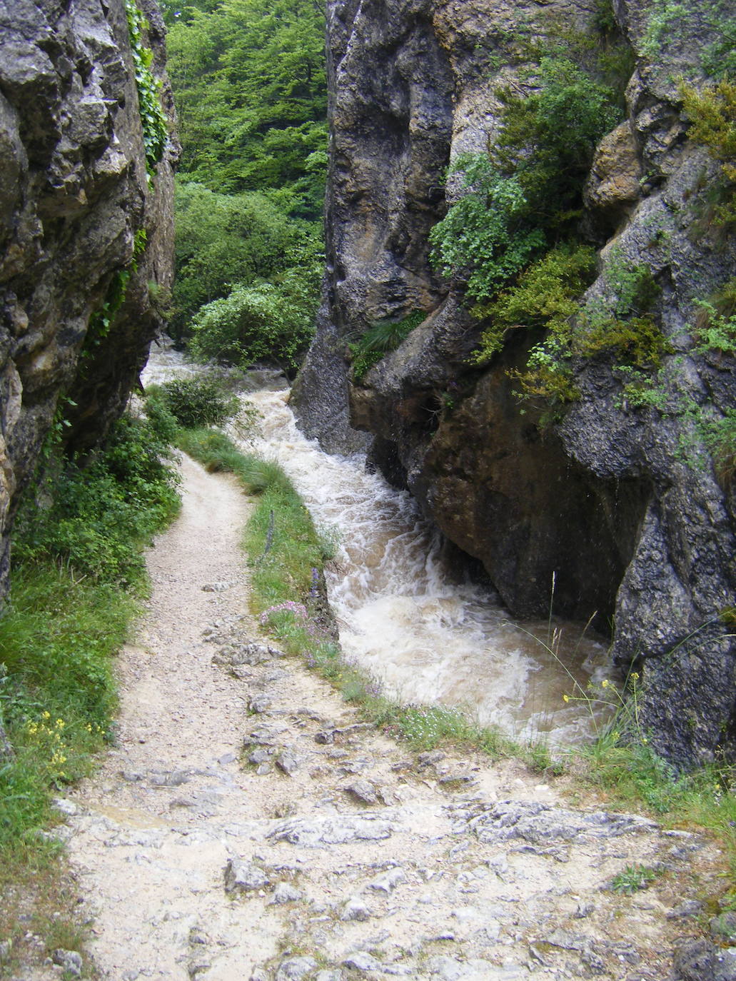 Desfiladero del río Purón. Álava. Son 11 kilómetros en el Parque Natural de Valderejo, entre Álava y Burgos. El punto de partida es el centro de interpretación, situado en Lalastra. Durante todo el recorrido podemos disfrutar del paisaje, de su vegetación y de su fauna. También nos encontraremos con las ruinas del pueblo abandonado de Ribera. Encinas, quejigos y chopos nos darán sombra en los días de más calor. 