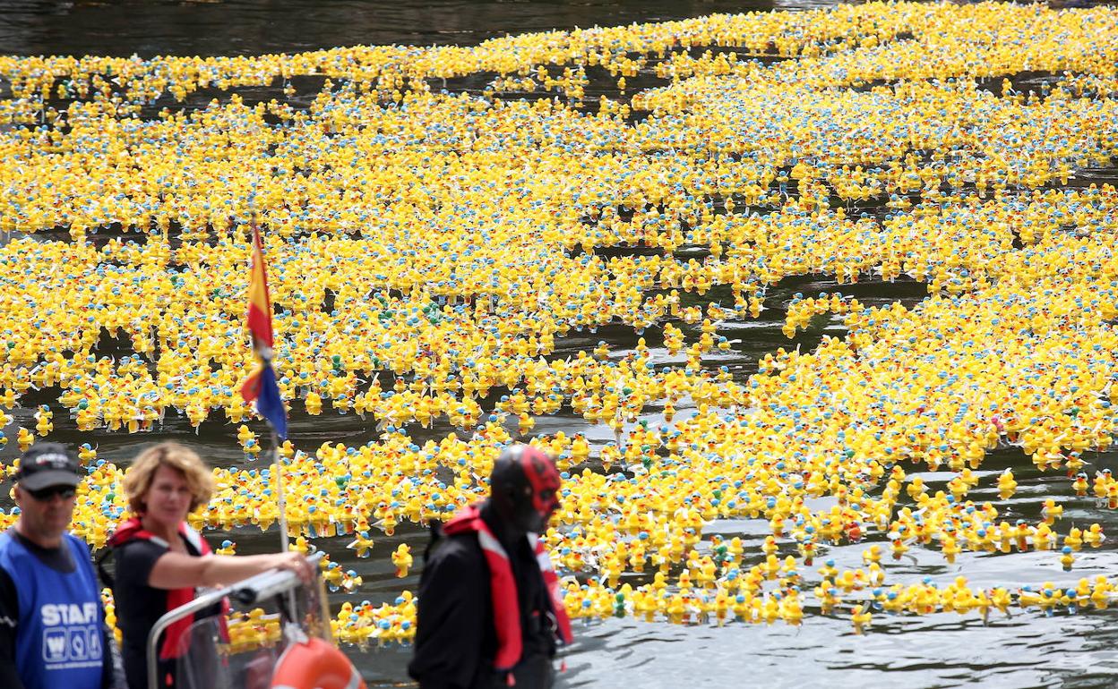 Miles de patitos en la ria de Bilbao, durante una estropatada