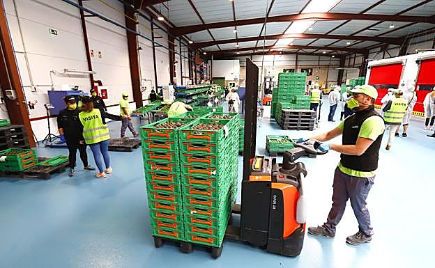 Las instalaciones están ya completamente adaptadas a la actividad. 