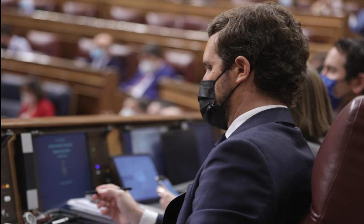 El líder del PP, Pablo Casado, en una sesión de control al Gobierno en el Congreso.