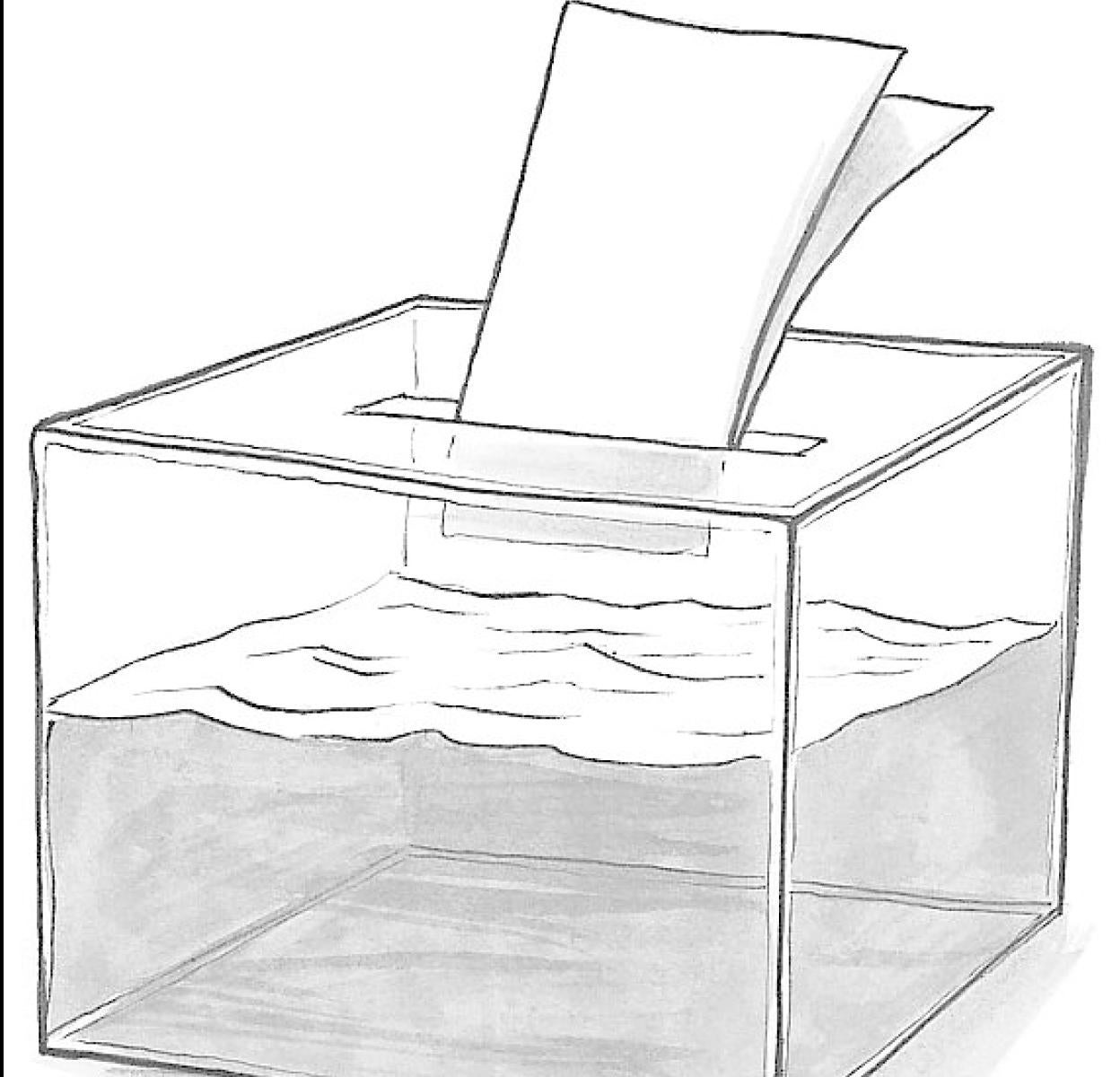 Yo sí le creo, señor Sánchez