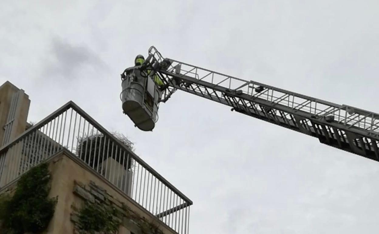 Los bomberos necesitaron la escala para rescatar la cría de cigüeña en Garaio.
