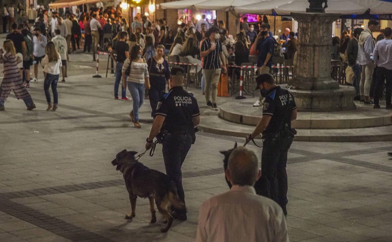 Varios agentes de la Policía Local de Santander, acompañados de perros, durante el control especial de aforos.