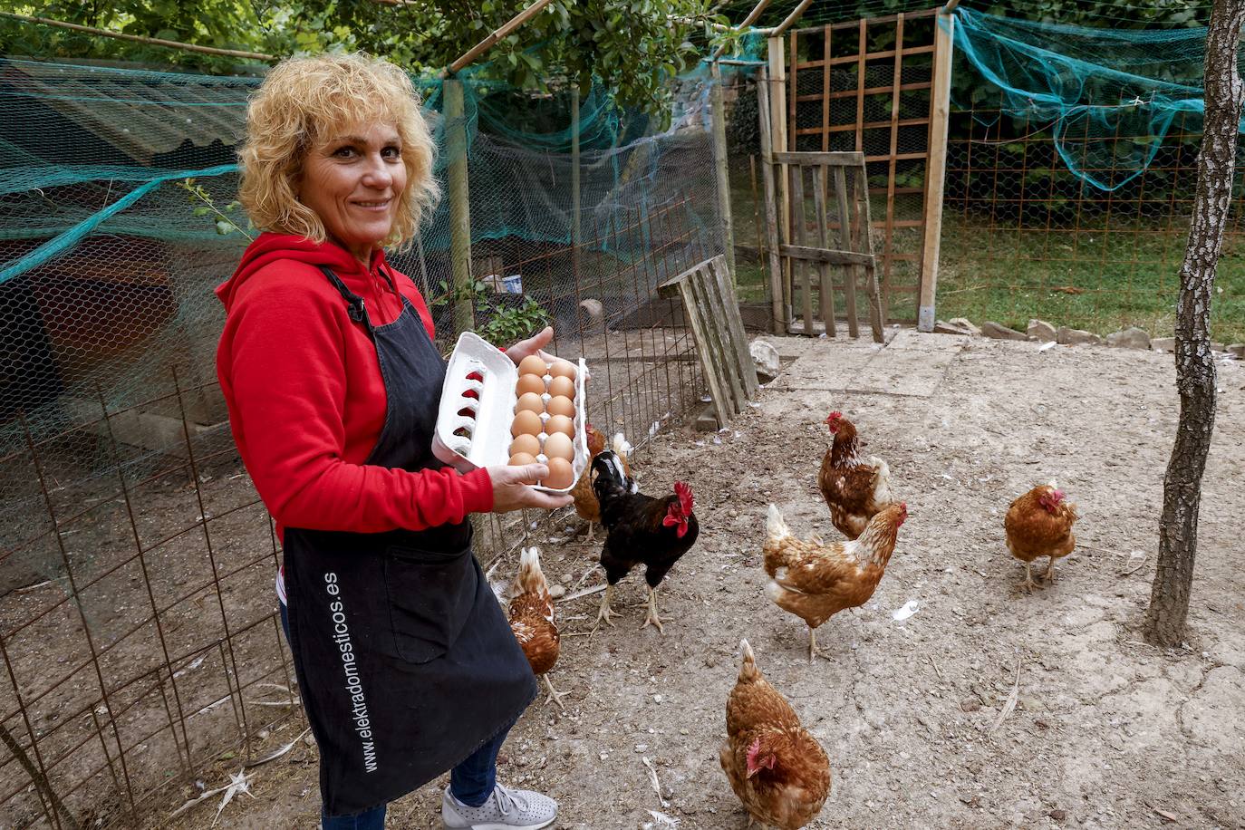El alojamiento rural Azala cuenta también con un gallinero.