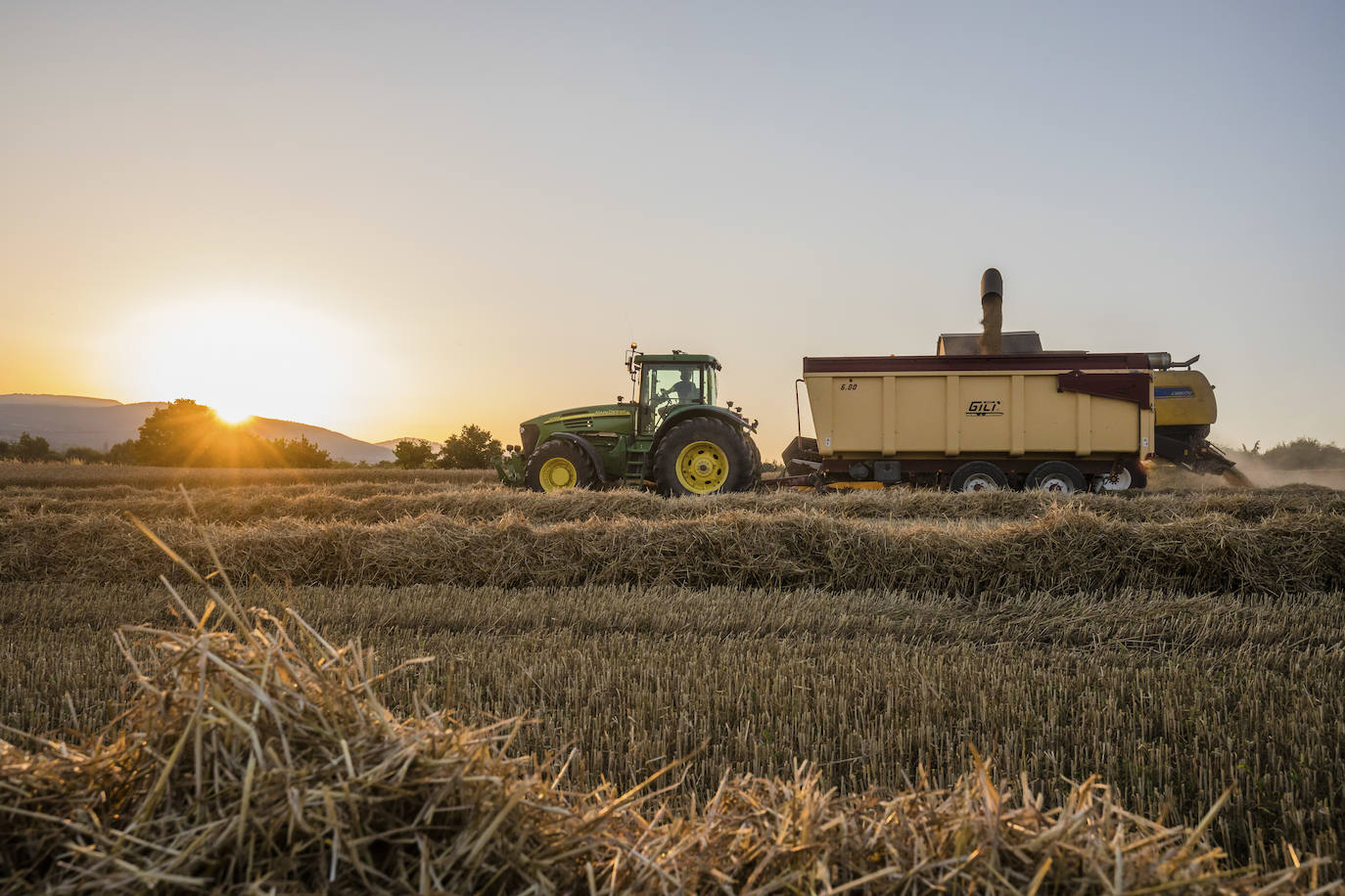 El sol cae cuando todavía queda una larga jornada de faena por delante.