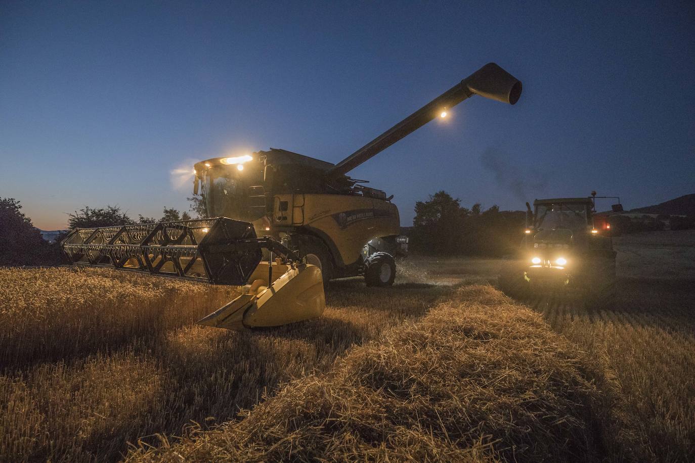 Fotos: Libre de polvo y paja