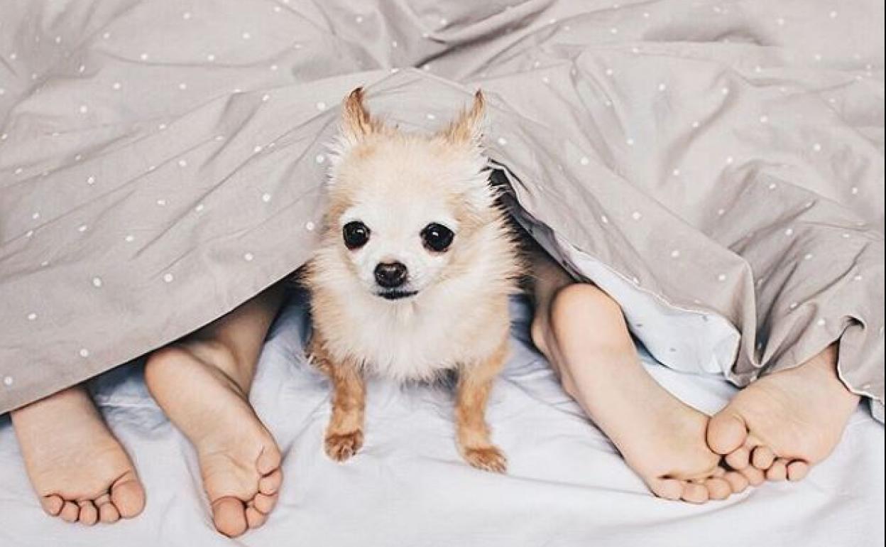 ¿Duermes mal? Te contamos cuáles son los trastornos más habituales del sueño (y cómo combatirlos)