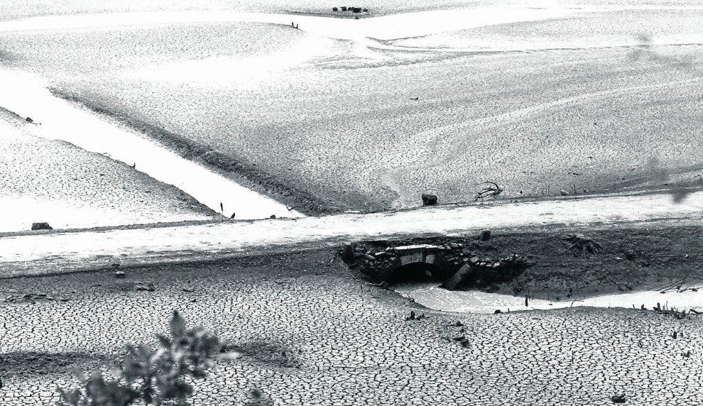 La sequía que vació los pantanos, el ganado más selecto en Zurbano y la grave cornada el día del Blusa