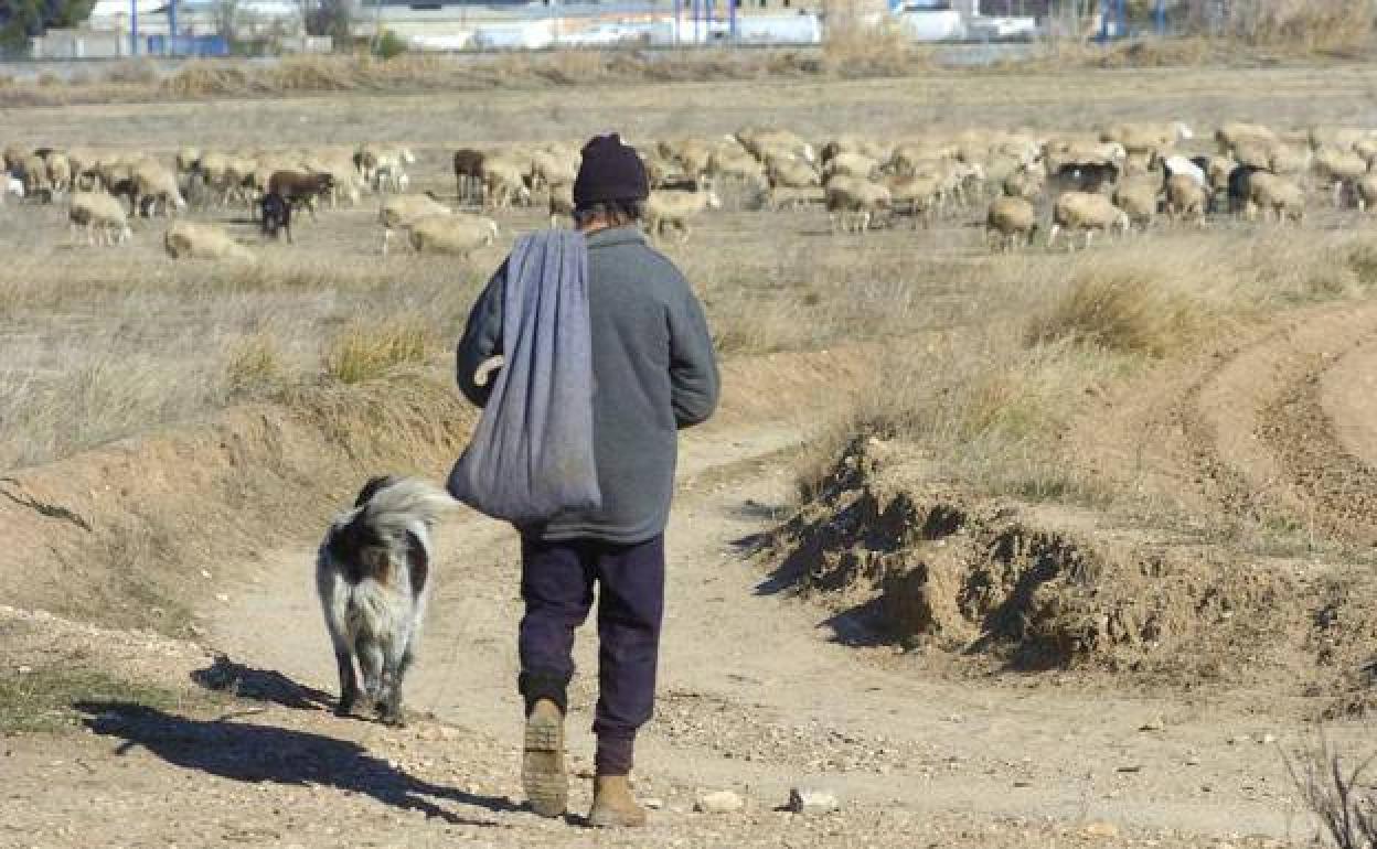 Tragedia camping de Biescas: «Fueron cuatro días duros identificando cadáveres»