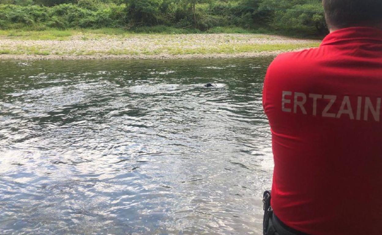 Muere un hombre al intentar cruzar el río Bidasoa a nado hacia Francia