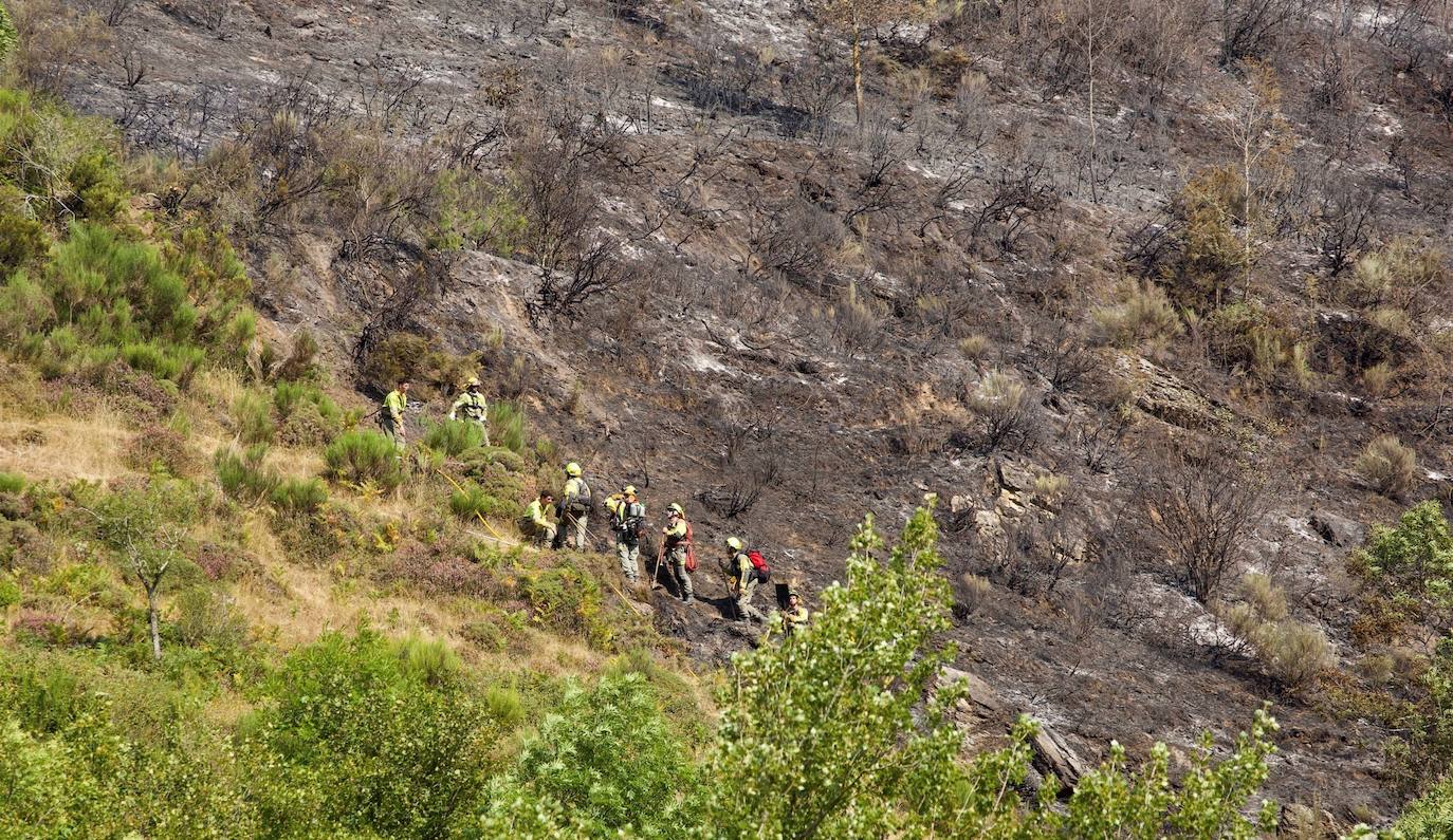 Fotos: Incendio forestal en Ezcaray, en imágenes