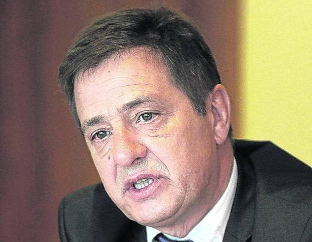 El catedrático de la UPV Felipe Serrano. 