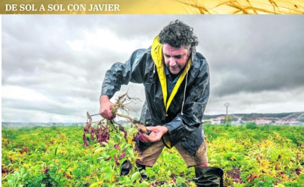 Una serie para analizar el campo alavés a través de los cultivos de un agricultor de Arangiz