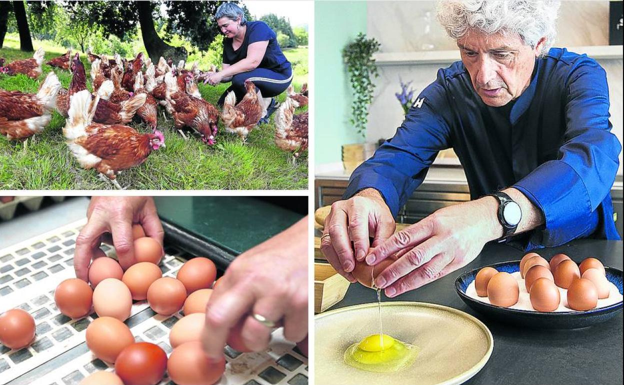 Estas gallinas valen un huevo