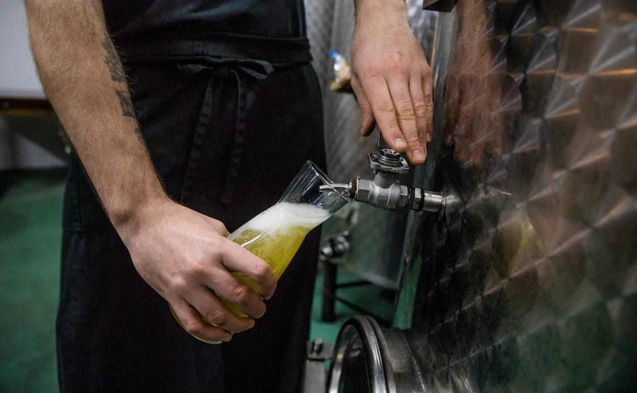 Entre mediados y finales de mes arrancará la cosecha de la manzana en Álava que los productores locales convertirán en sidra. 