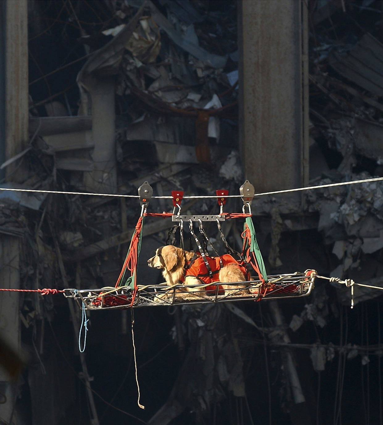 Fotos: El recuerdo del 11-S permanece imborrable incluso 20 años después