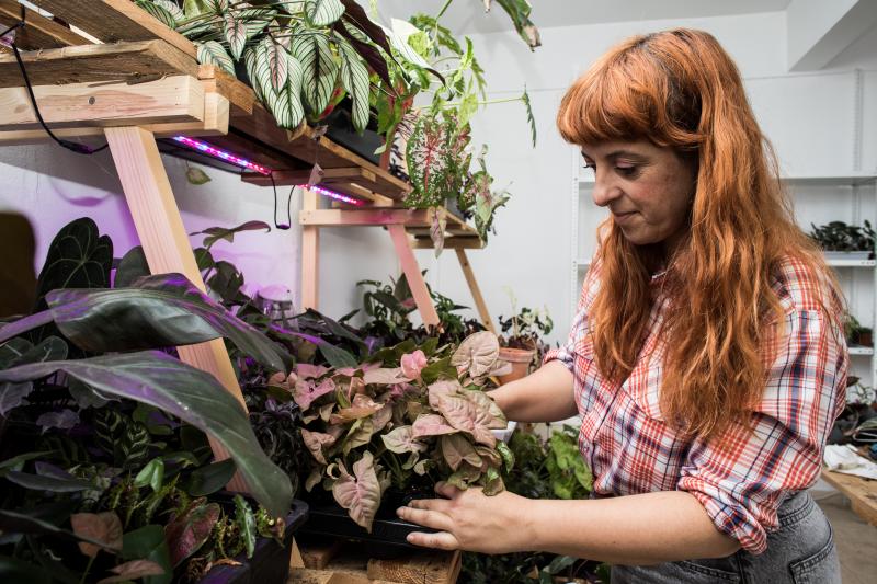 Fotos: Nace en Bilbao una innovadora comunidad digital para los amantes de las plantas